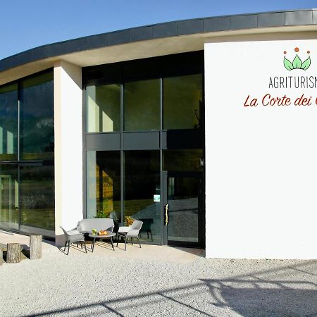 Agritur La Corte Dei Ciliegi Тренто Экстерьер фото