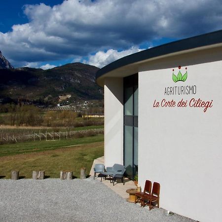 Agritur La Corte Dei Ciliegi Тренто Экстерьер фото